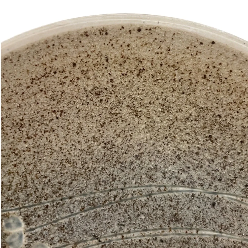 Signed Studio Pottery Shallow Bowl Handcrafted Floral Speckled Earthy Tones 9.5